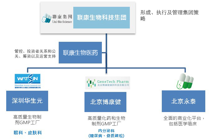 组织架构