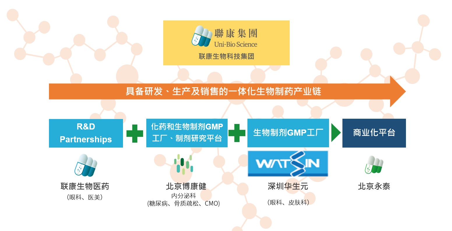 聯康生物科技集團組織架構